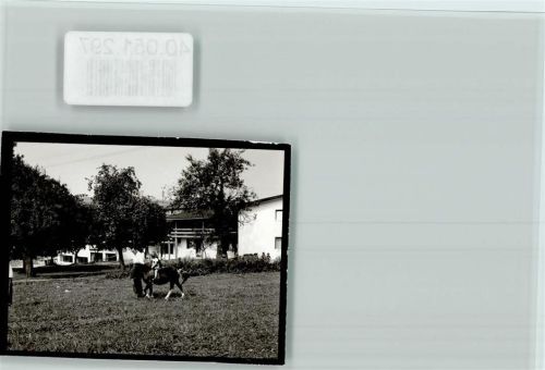 Warzenried Pension Böhmerwald Pony-Reitstunde