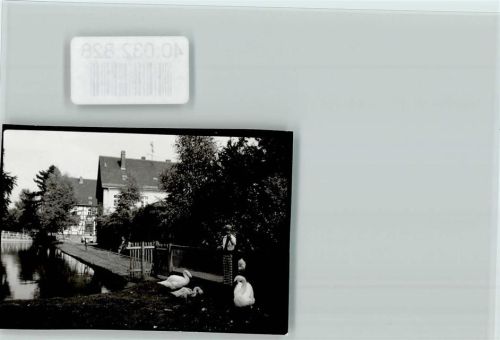 W3548 Mengeringhausen Gänsedressur Ente FOTO KEINE AK