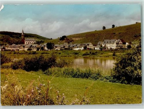 Lieser Ortsansicht und Weinbereg
