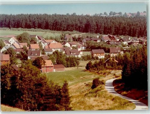 Buntenbock Ortsansicht