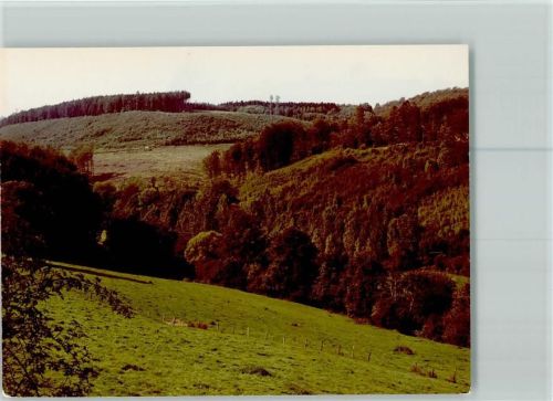 31868 W3251 Glesse FOTO KEINE AK