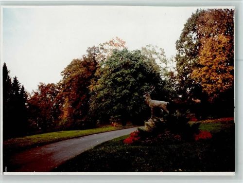 Alsbach Hirschpark