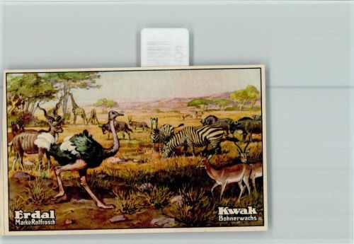 Erdal-Kwak Sammelbild Afrikanische Wildherde Symbiose Serie 77 Bild 6
