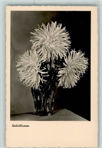 Herbstblumen in der Vase