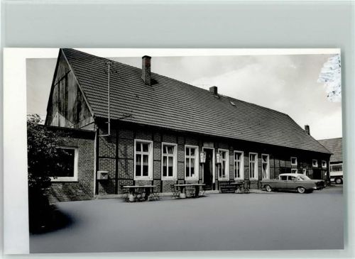 Schapdetten Foto
