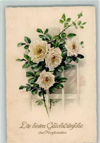 Weise Rosen ranken am Haus