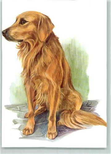 Golden Retriever sign Jürgen Ritter Großer Hund Künstlerkarte