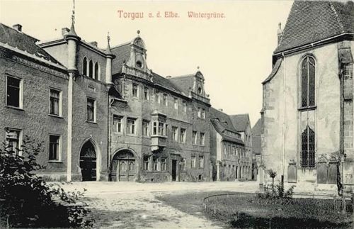04860 O7290 Torgau - Torgau Wintergrüne