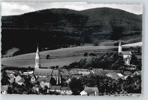 Pleystein