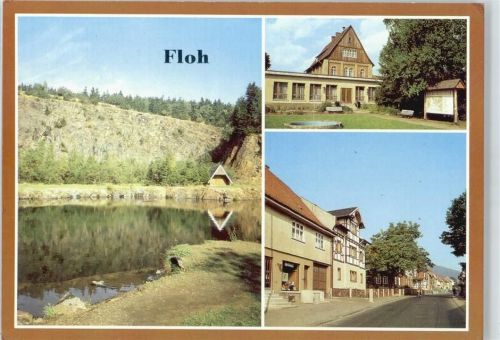 Floh