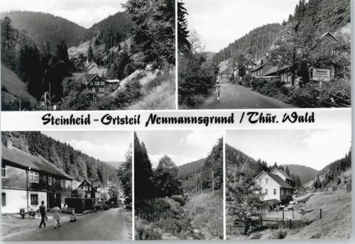 Steinheid
