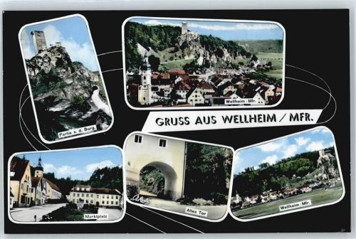 91809 W8839 Wellheim