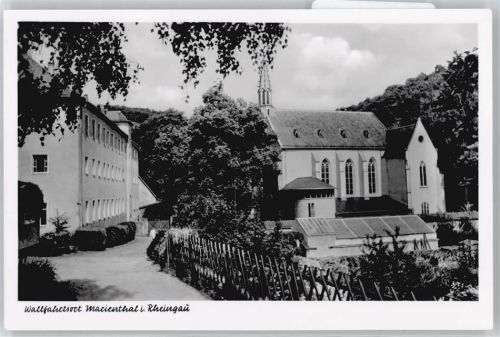 Marienthal Zaun Haus baum