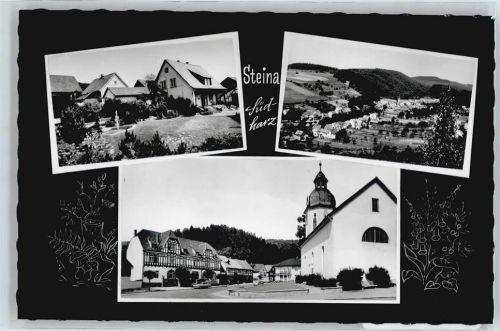 Steina
