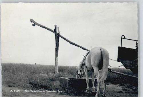 Oedwinkel Pferd Kutsche Feld