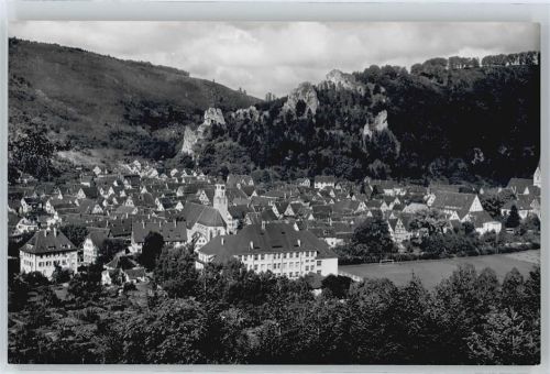 Blaubeuren Felsen Haus Baum Berg