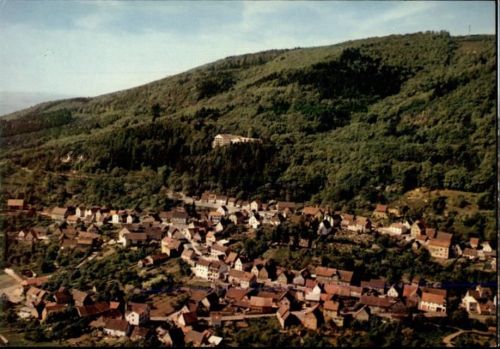 Dannenfels