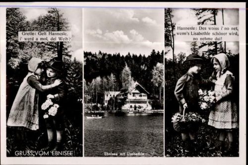Ebnisee