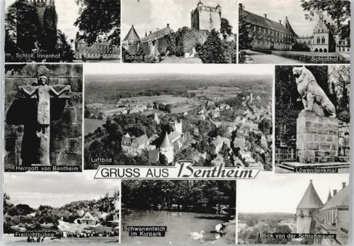 Bad Bentheim Schloss Denkmal Teich Schwan Fliegeraufnahme