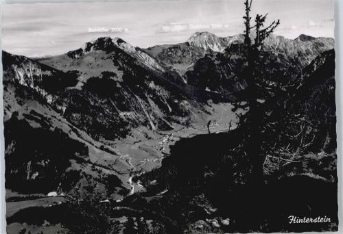 Hinterstein Berg Feld Haus Baum