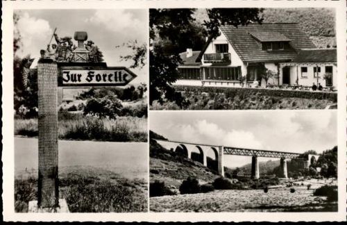 Eiswoog Gasthof Forelle