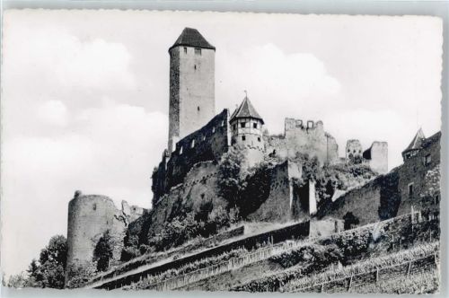 Neckarzimmern Burg Hornberg