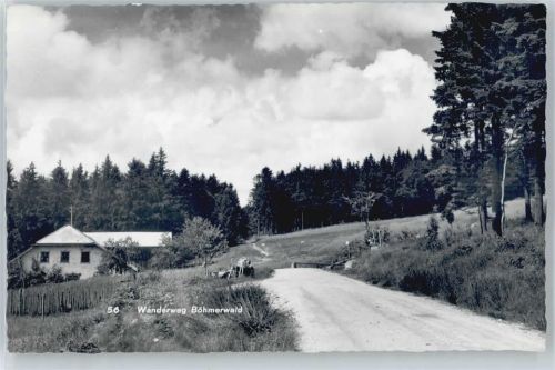 Grünwald Wanderweg Böhmerwald