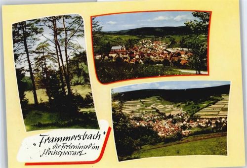 Frammersbach Panorama Wald