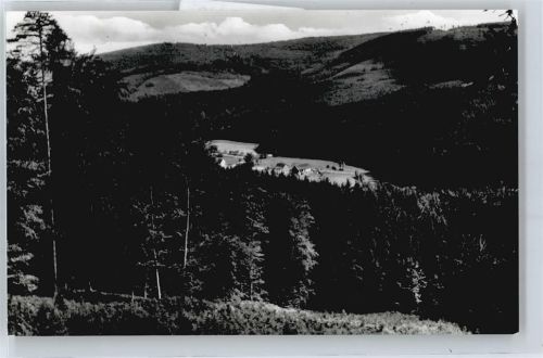 Vielbrunn Berg Panorama