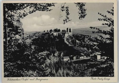 Schönecken Panorama Burg Berg