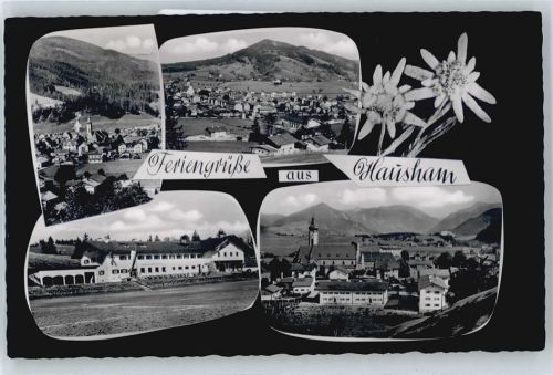 83734 W8164 Hausham - Teilansicht, Edelweiss