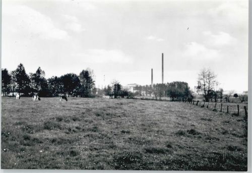 Hemmoor Kuhweide