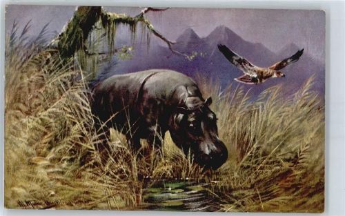 Flußpferd