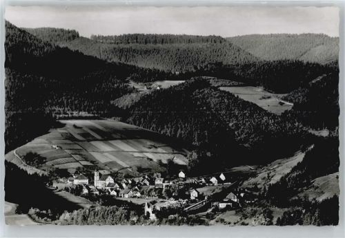 Schenkenzell Schenkenburg