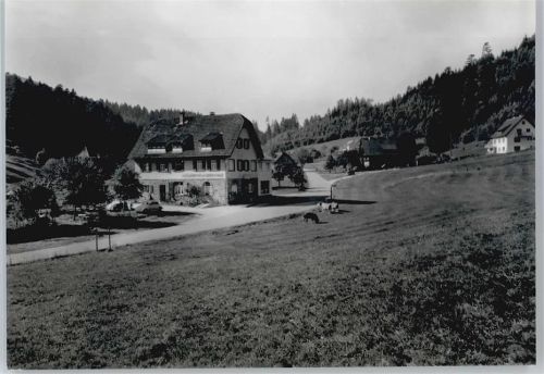 Erbersbronn Gasthaus zum grünen Wald