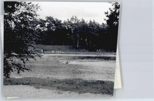 Stuckenborstel Foto mit Negativ