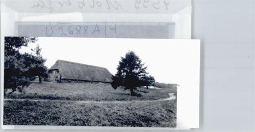 Molbergen Foto mit Negativ, Ferienhof Dwergte