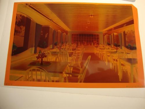 Friedrichstadt Aquarium Cafe, Negativ