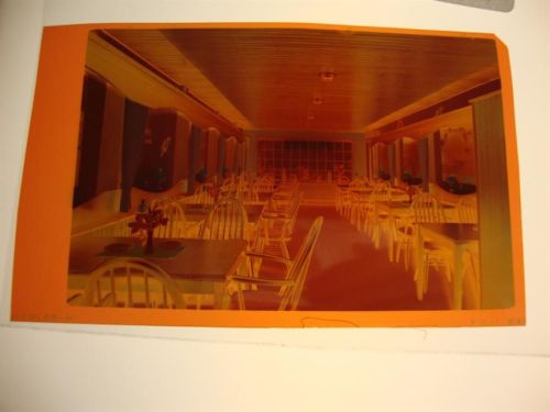 Friedrichstadt Aquarium Cafe, Negativ