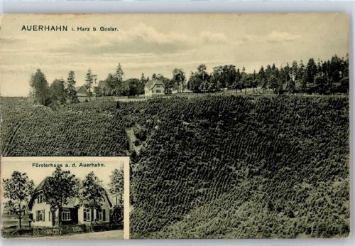 Auerhahn Försterhaus