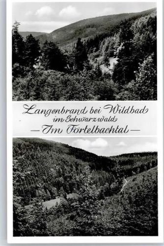 Langenbrand Förtebachtal