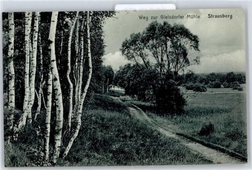 15344 O1260 Strausberg - Weg zur Gielsdorfer Mühle