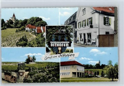 Osthofen Schule , Weinberge