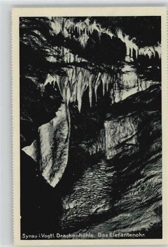 Syrau 1940 - 1950 Drachenhöhle Elefantenohr