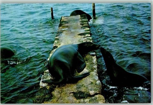 Islas Galapagos 1976 AK