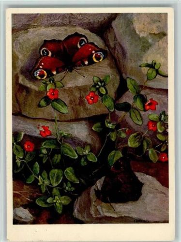 1945 Nr. 617 Jean Zeltner - Tagpfauenauge