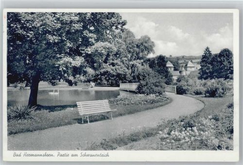Bad Hermannsborn Schwanenteich