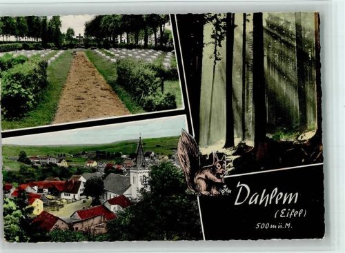 Dahlem Friedhof Ortsansicht Wald