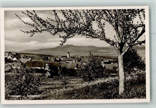 Trossingen Teilansicht