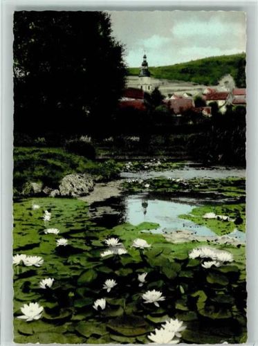 Bad Salzschlirf Wasserrosen-Idyll